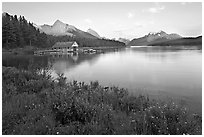 Wildflowers, Maligne Lake and boathouse, sunset. Jasper National Park, Canadian Rockies, Alberta, Canada (black and white)