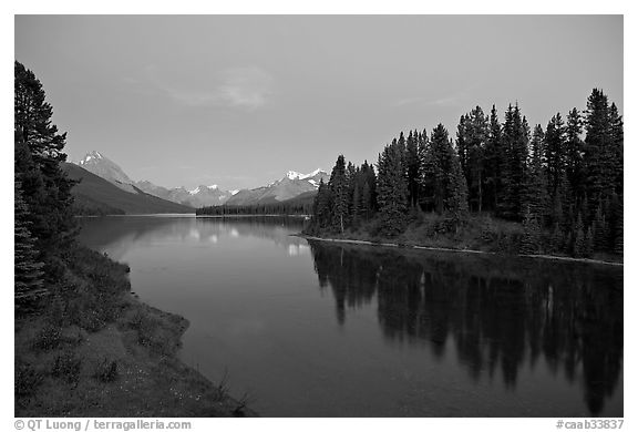 Maligne River outlet, row of evergreens, and  Maligne River, blue dusk. Jasper National Park, Canadian Rockies, Alberta, Canada (black and white)