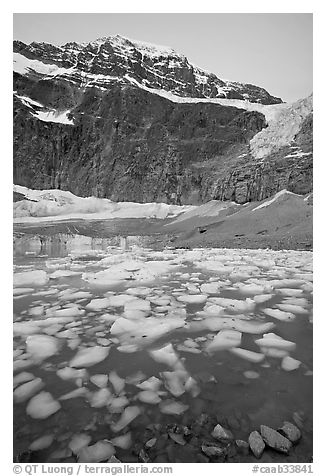 Cavell Pond, with the face of Mt Edith Cavell looming above, sunrise. Jasper National Park, Canadian Rockies, Alberta, Canada