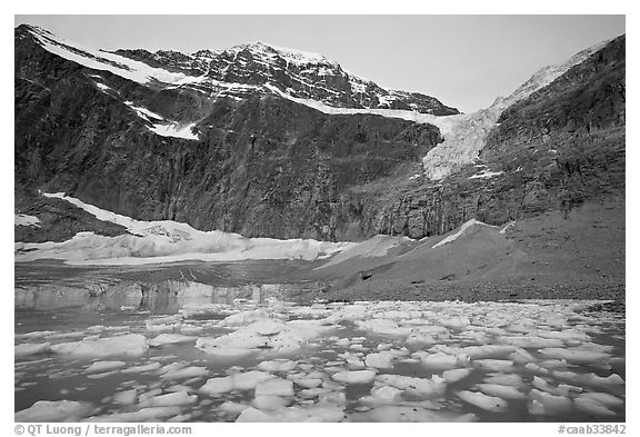 Cavell Pond at the base of Mt Edith Cavell, sunrise. Jasper National Park, Canadian Rockies, Alberta, Canada