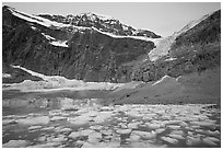 Cavell Pond at the base of Mt Edith Cavell, sunrise. Jasper National Park, Canadian Rockies, Alberta, Canada (black and white)