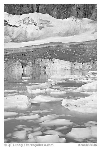 Icebergs in glacial pond and Cavell Glacier. Jasper National Park, Canadian Rockies, Alberta, Canada (black and white)