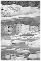 Icebergs in glacial pond and Cavell Glacier. Jasper National Park, Canadian Rockies, Alberta, Canada (black and white)