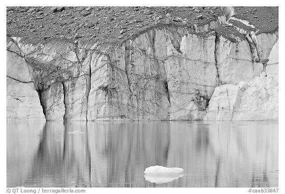 Iceberg and front of Cavell Glacier. Jasper National Park, Canadian Rockies, Alberta, Canada (black and white)