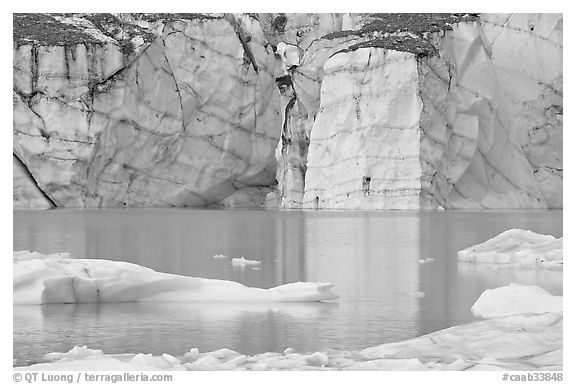 Wall of ice and Cavell Pond,. Jasper National Park, Canadian Rockies, Alberta, Canada (black and white)