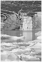 Cavell Glacier and icebergs detached from the glacier. Jasper National Park, Canadian Rockies, Alberta, Canada ( black and white)