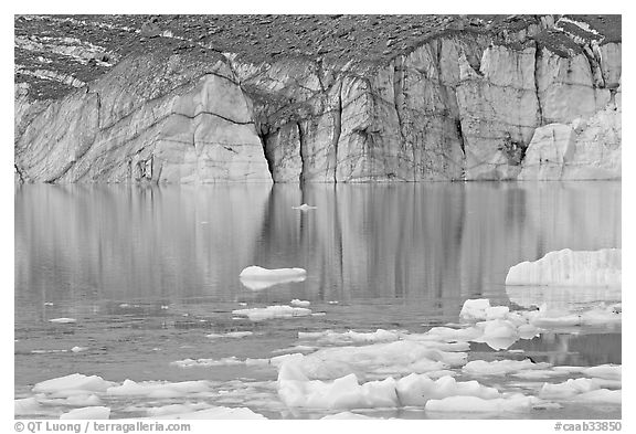 Front of Cavell Glacier reflected in glacial lake. Jasper National Park, Canadian Rockies, Alberta, Canada (black and white)