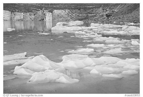 Icebergs, glacial pond, and Cavell Glacier front. Jasper National Park, Canadian Rockies, Alberta, Canada (black and white)