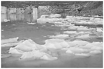 Icebergs, glacial pond, and Cavell Glacier front. Jasper National Park, Canadian Rockies, Alberta, Canada (black and white)