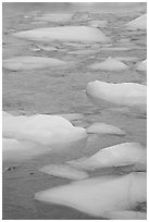 Icebergs and golden reflections from Mt Edith Cavell. Jasper National Park, Canadian Rockies, Alberta, Canada ( black and white)