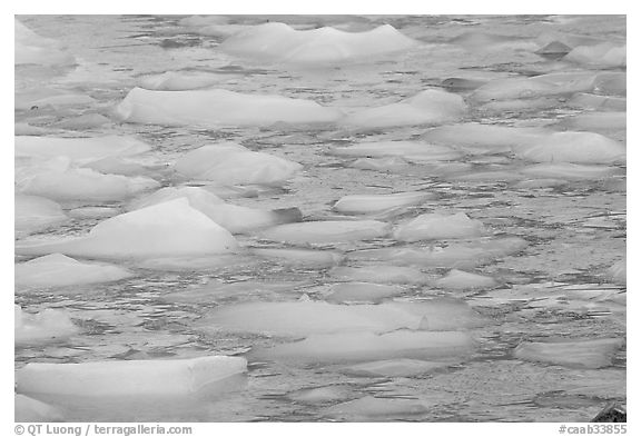 Close-up of icebergs floating in reflected yellow light. Jasper National Park, Canadian Rockies, Alberta, Canada