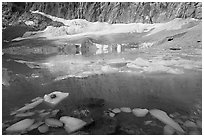 Icebergs, reflections, and Cavell Glacier. Jasper National Park, Canadian Rockies, Alberta, Canada (black and white)