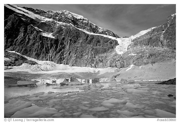 Icebergs and Cavell Pond at the base of Mt Edith Cavell, early morning. Jasper National Park, Canadian Rockies, Alberta, Canada