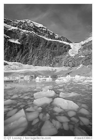 Iceberg-filled  Glacial Pond, and steep face of Mt Edith Cavell, early morning. Jasper National Park, Canadian Rockies, Alberta, Canada