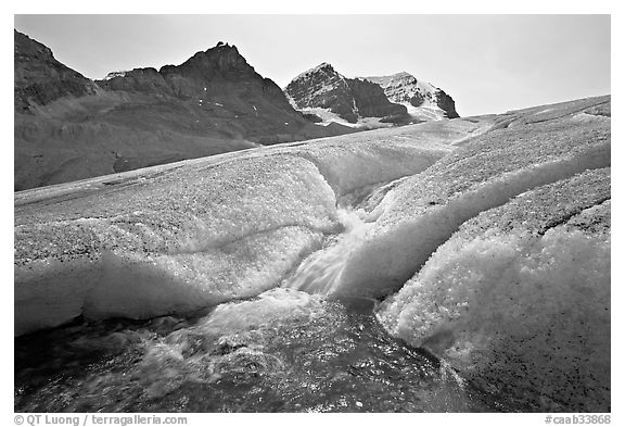 Glacial stream at the toe of Athabasca Glacier. Jasper National Park, Canadian Rockies, Alberta, Canada