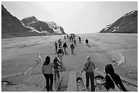 Tourists walking onto  Athabasca Glacier. Jasper National Park, Canadian Rockies, Alberta, Canada ( black and white)