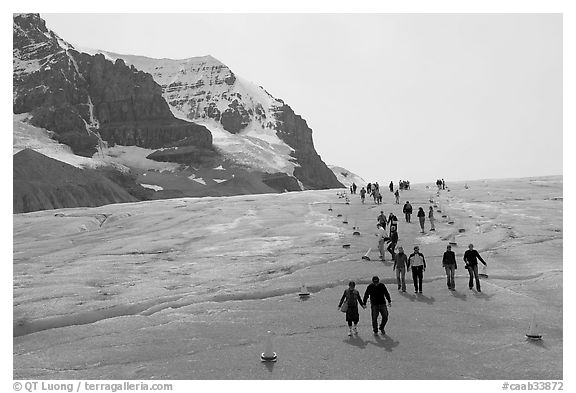 Tourists in a marked area of Athabasca Glacier. Jasper National Park, Canadian Rockies, Alberta, Canada