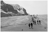 Tourists in a marked area of Athabasca Glacier. Jasper National Park, Canadian Rockies, Alberta, Canada (black and white)