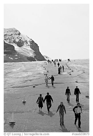 Tourists descending Athabasca Glacier. Jasper National Park, Canadian Rockies, Alberta, Canada (black and white)