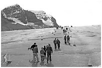 Tourists and families on Athabasca Glacier. Jasper National Park, Canadian Rockies, Alberta, Canada (black and white)