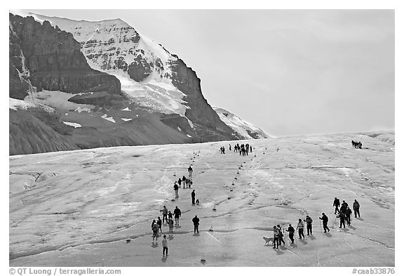 Groups of people amongst glacier and peaks. Jasper National Park, Canadian Rockies, Alberta, Canada (black and white)