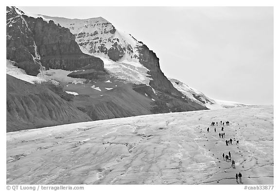 Toe of Athabasca Glacier with tourists in delimited area. Jasper National Park, Canadian Rockies, Alberta, Canada (black and white)