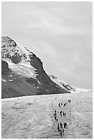 Athabasca Glacier with people in delimited area. Jasper National Park, Canadian Rockies, Alberta, Canada (black and white)