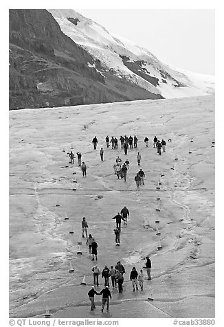 People in delimited area at the toe of Athabasca Glacier. Jasper National Park, Canadian Rockies, Alberta, Canada (black and white)