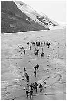 People in delimited area at the toe of Athabasca Glacier. Jasper National Park, Canadian Rockies, Alberta, Canada ( black and white)