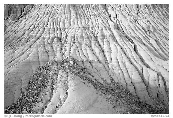 Badlands detail, with eroded clay and gravel, Dinosaur Provincial Park. Alberta, Canada (black and white)