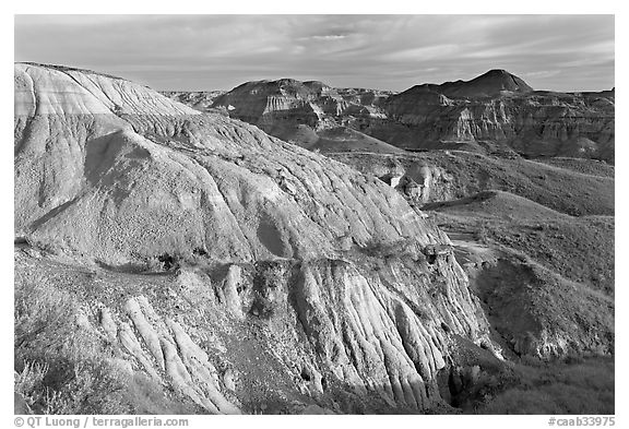 Badlands and hills, Dinosaur Provincial Park. Alberta, Canada (black and white)