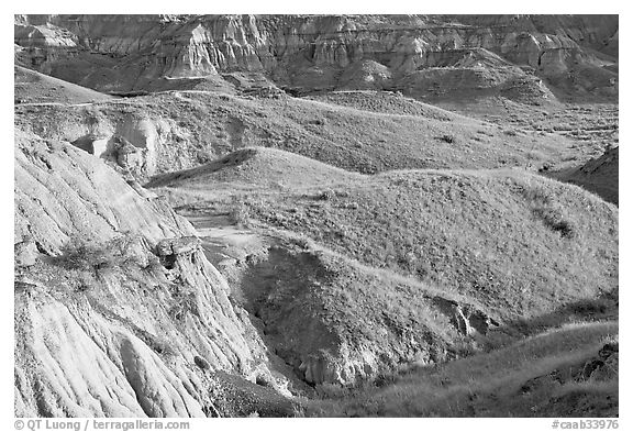 Hills and badlands, morning, Dinosaur Provincial Park. Alberta, Canada (black and white)