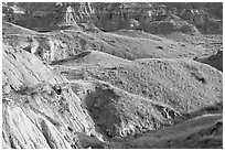 Hills and badlands, morning, Dinosaur Provincial Park. Alberta, Canada ( black and white)