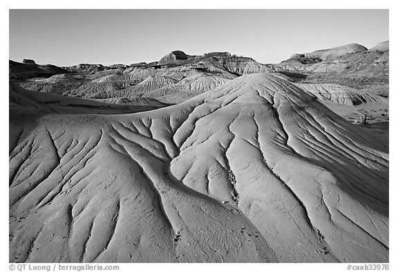 Eroded badlands, morning, Dinosaur Provincial Park. Alberta, Canada