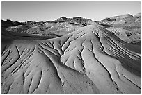 Eroded badlands, morning, Dinosaur Provincial Park. Alberta, Canada ( black and white)