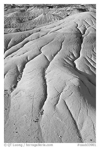 Patterns of mudstone erosion, Dinosaur Provincial Park. Alberta, Canada