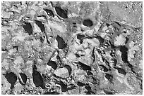 Alveoles in rock, Dinosaur Provincial Park. Alberta, Canada ( black and white)