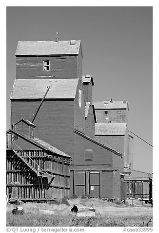 Wood grain storage buildings. Alberta, Canada (black and white)