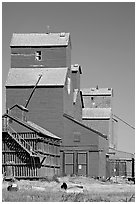 Wood grain storage buildings. Alberta, Canada ( black and white)