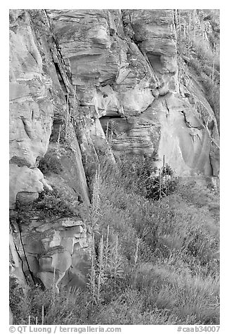 Cliff walls, Head-Smashed-In Buffalo Jump. Alberta, Canada (black and white)