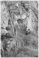 Cliff walls, Head-Smashed-In Buffalo Jump. Alberta, Canada (black and white)