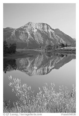 Vimy Peak and reflection in Middle Waterton Lake, sunrise. Waterton Lakes National Park, Alberta, Canada