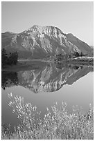 Vimy Peak and reflection in Middle Waterton Lake, sunrise. Waterton Lakes National Park, Alberta, Canada (black and white)