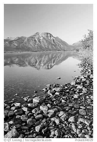Pebbles, Middle Waterton Lake, and Vimy Peak, early morning. Waterton Lakes National Park, Alberta, Canada (black and white)