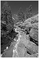 Red Rock Canyon. Waterton Lakes National Park, Alberta, Canada ( black and white)