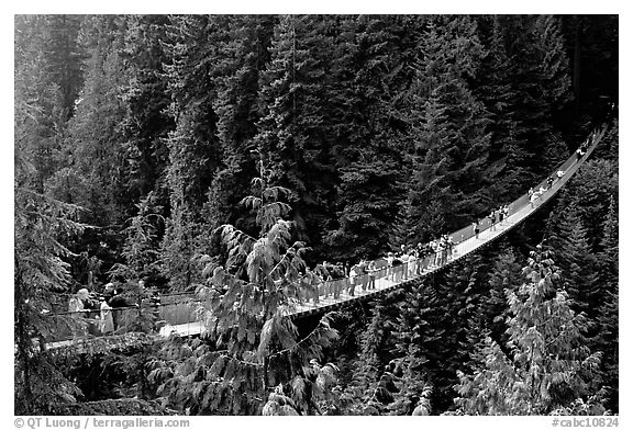 Capilano suspension bridge with tourists. Vancouver, British Columbia, Canada