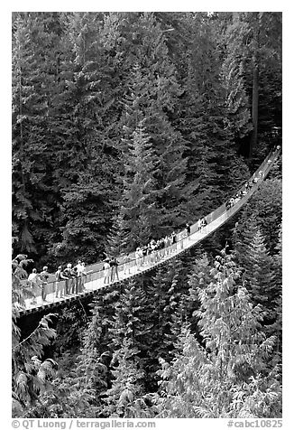 Capilano suspension bridge with tourists. Vancouver, British Columbia, Canada