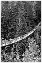 Capilano suspension bridge with tourists. Vancouver, British Columbia, Canada (black and white)