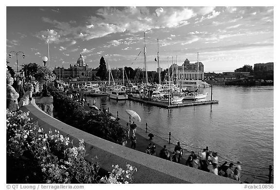 Flowers and Inner Harbour at sunset. Victoria, British Columbia, Canada (black and white)