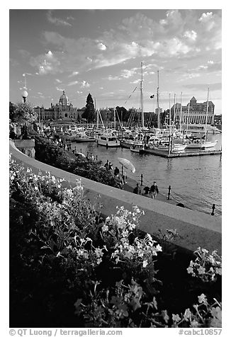 Flowers and Inner Harbour at sunset. Victoria, British Columbia, Canada